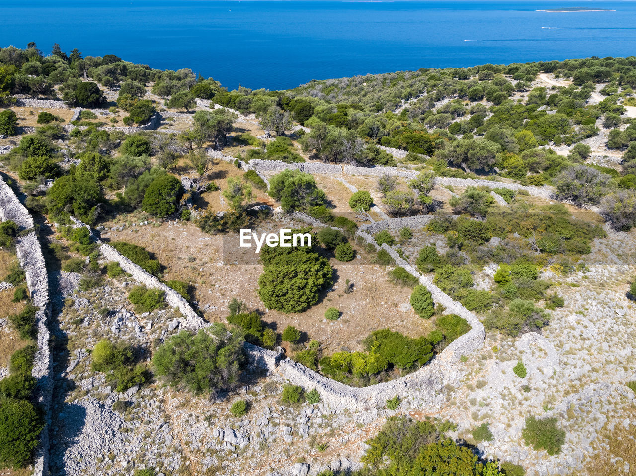 High angle view of trees on beach