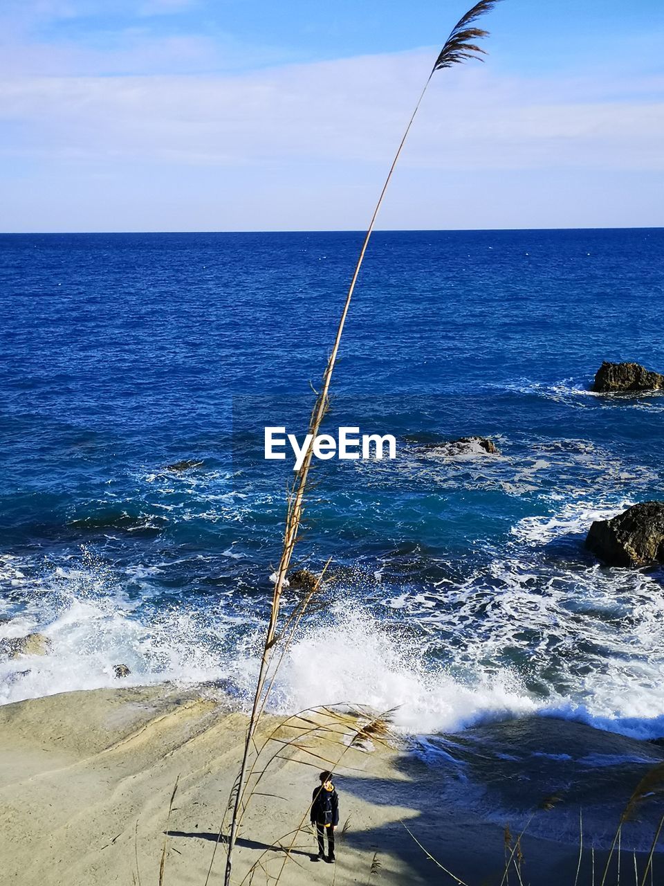 Fishing rod on beach against sky