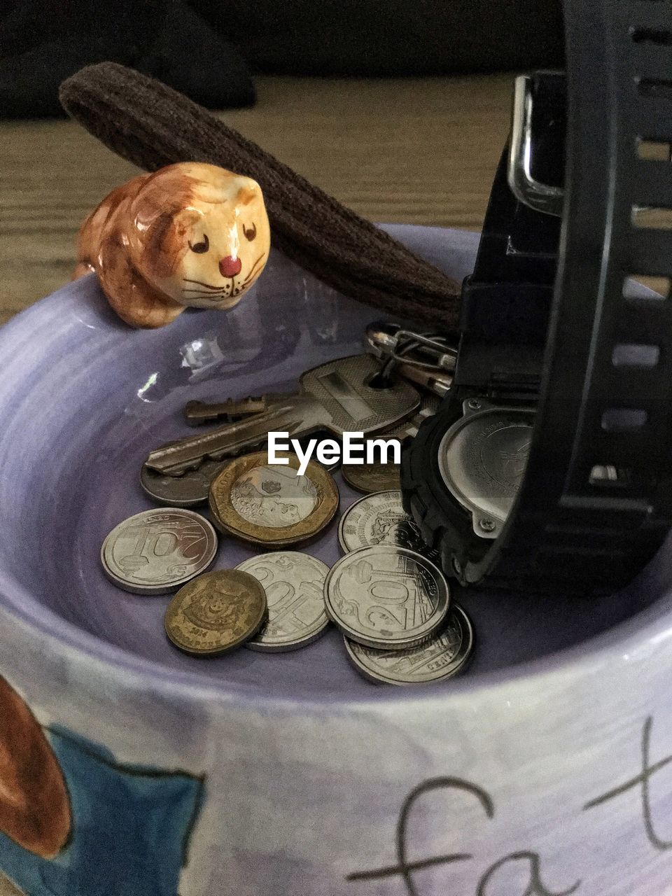 CLOSE-UP OF CAT ON TABLE