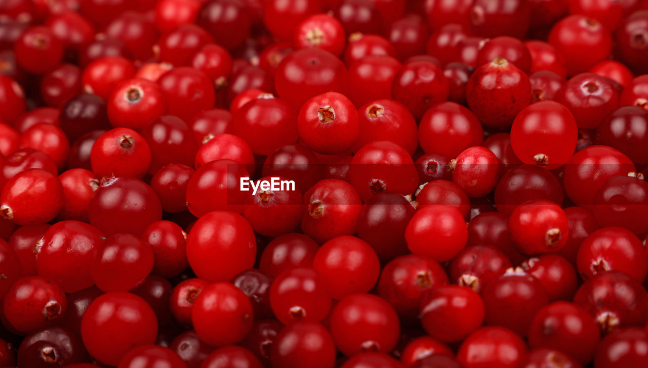 Full frame shot of cranberries