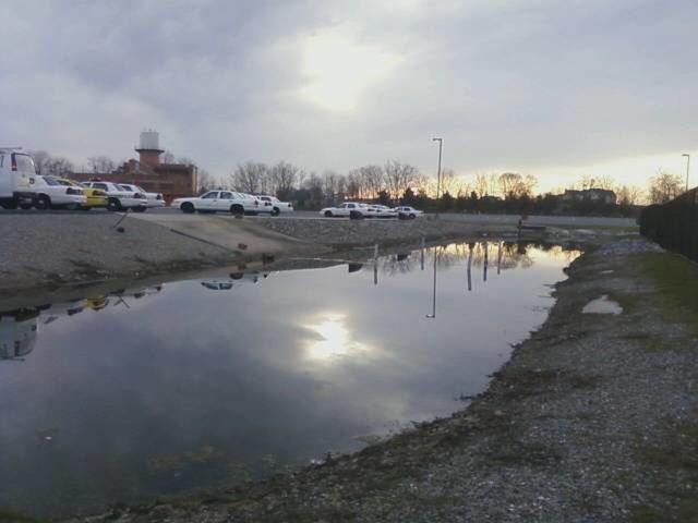 REFLECTION OF TREES IN WATER