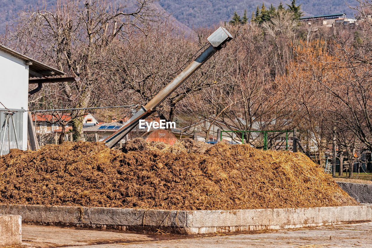 STACK OF BARE TREES ON FIELD