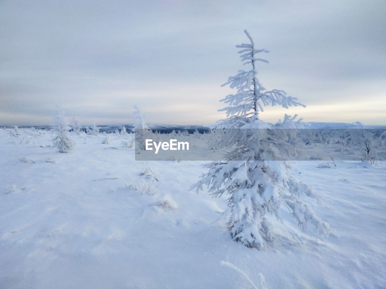 SCENIC VIEW OF SNOW COVERED LANDSCAPE AGAINST SKY