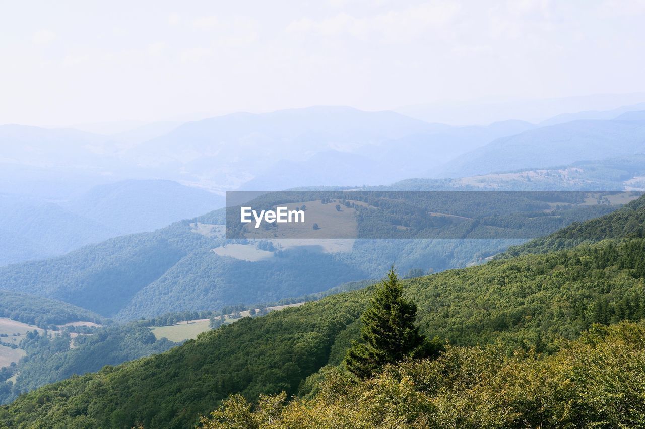 High angle view of trees and mountains against sky