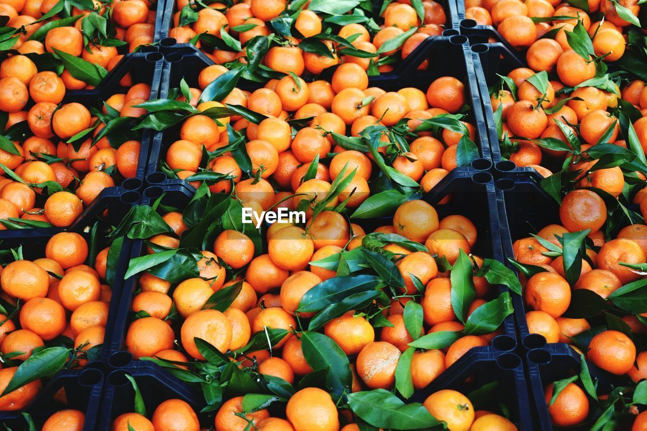 CLOSE-UP OF FRUITS FOR SALE IN MARKET