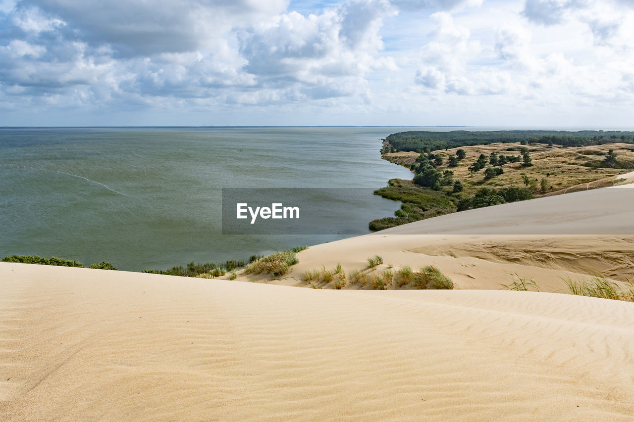 Nagliai nature reserve in neringa, lithuania. dead dunes, sand hills built by strong winds