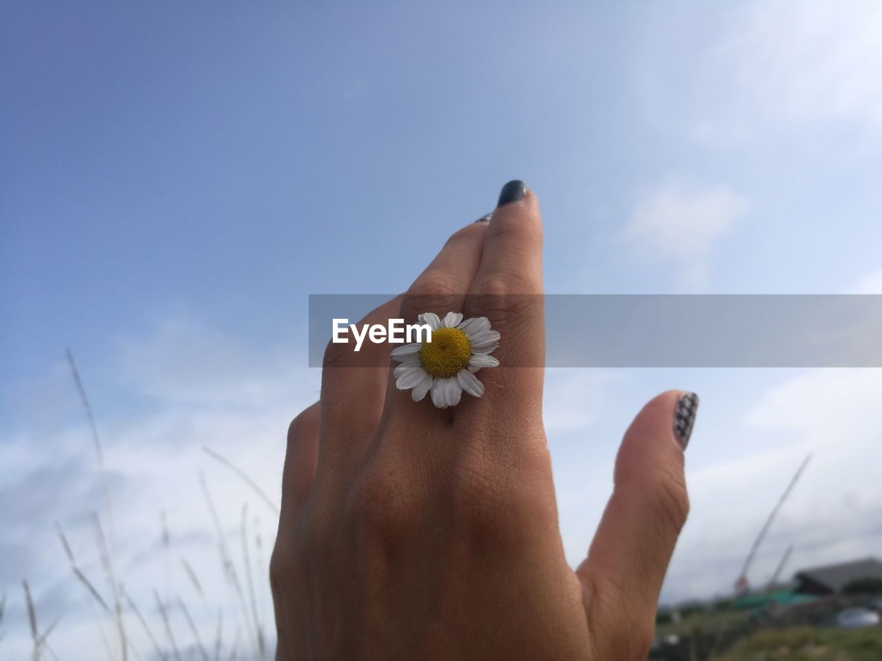 CLOSE-UP OF HAND HOLDING PLANT AGAINST SKY