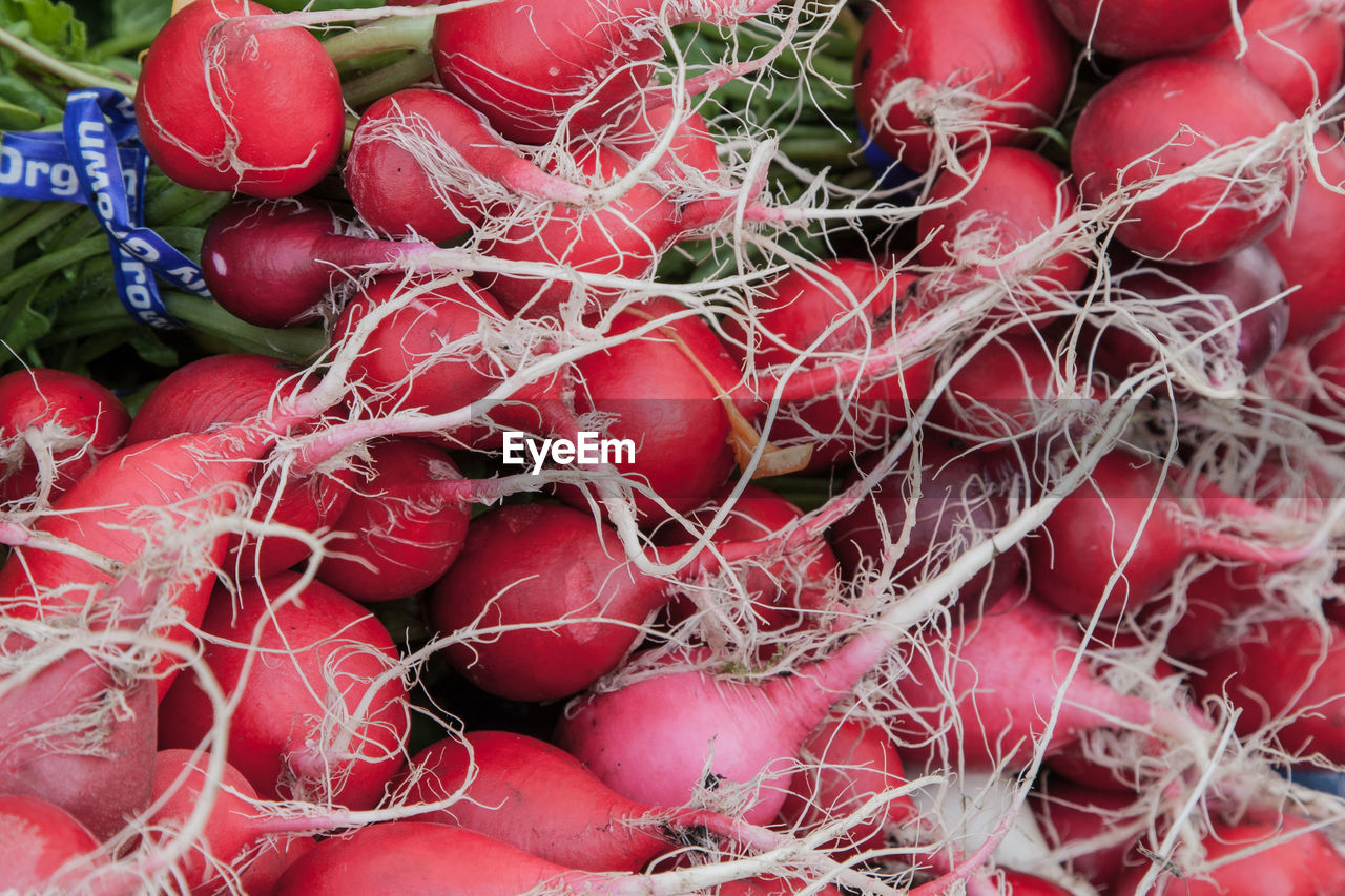 High angle view of radishes for sale in market