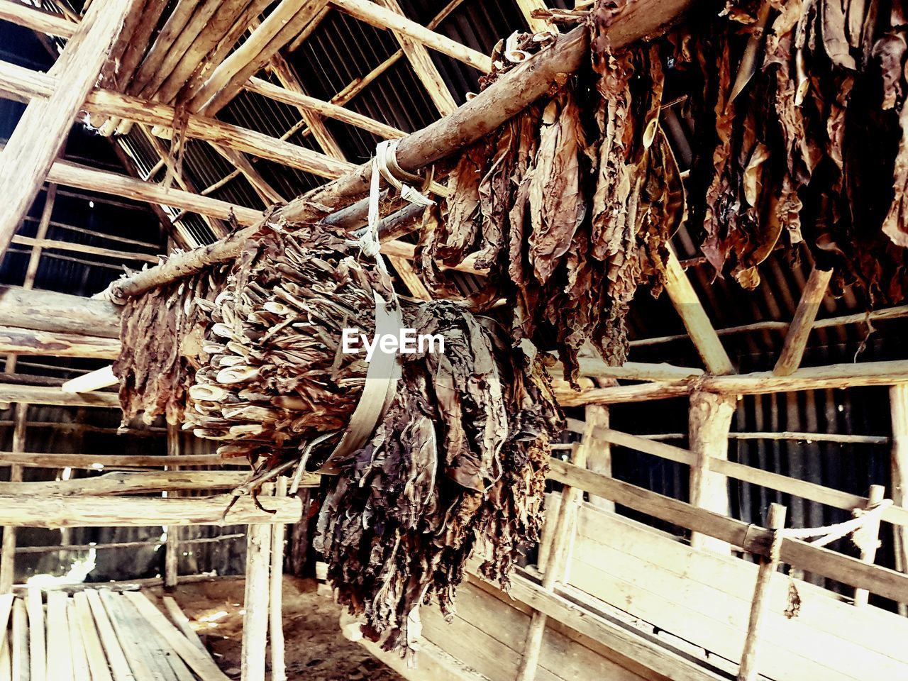 LOW ANGLE VIEW OF DRIED HANGING ON ROOF OF TREE