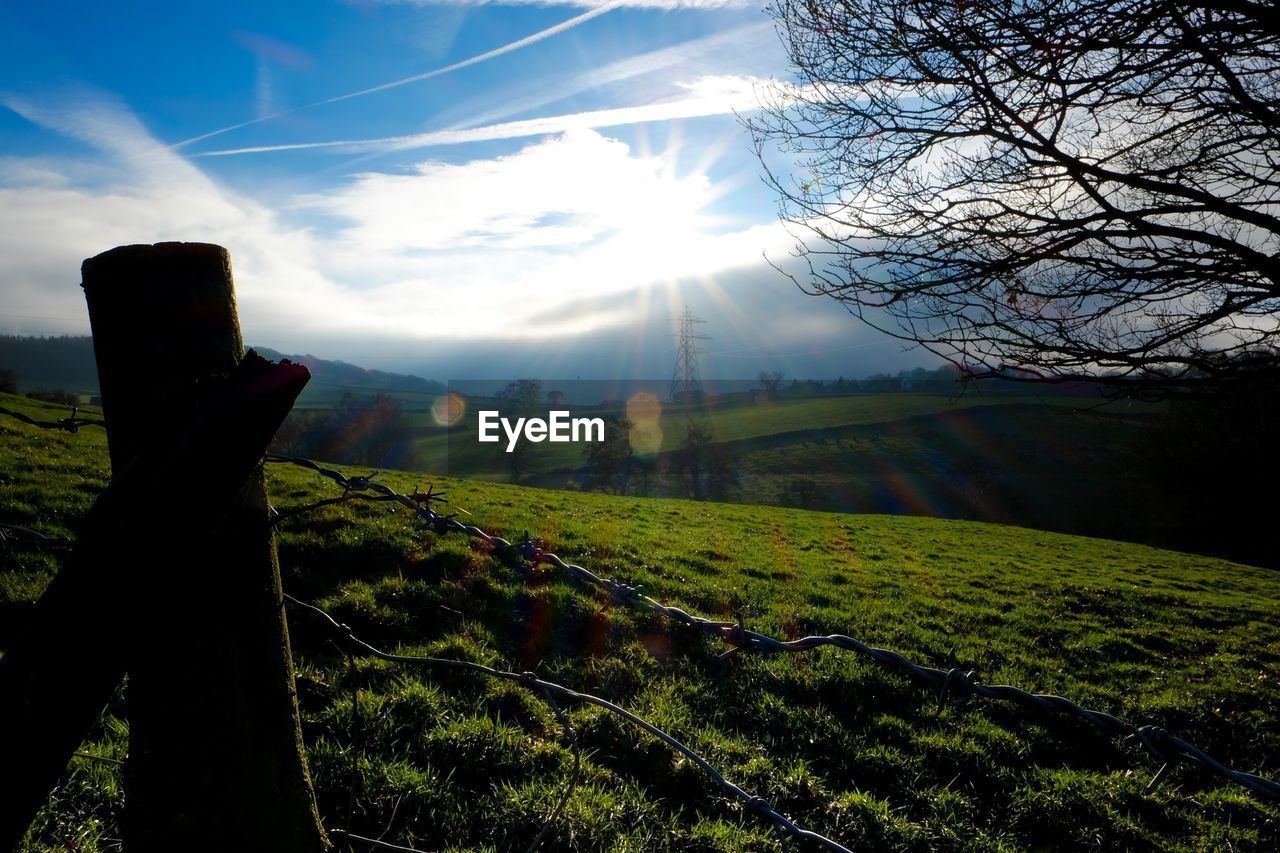 Scenic view of green landscape on sunny day