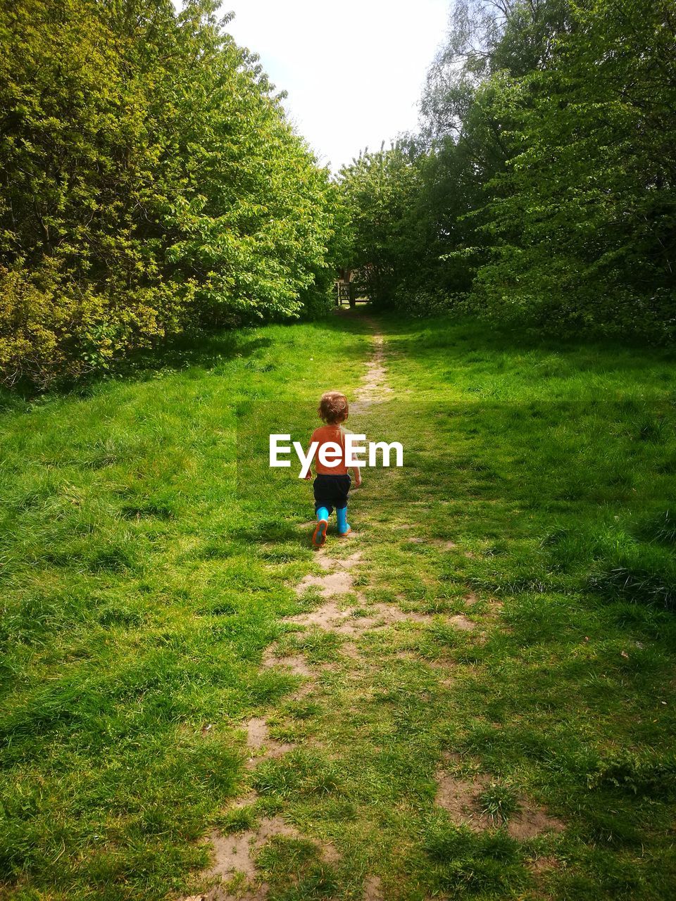 Rear view of boy walking on trail amidst grassy field