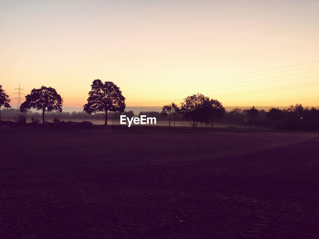 Silhouette trees on field against sky during sunset