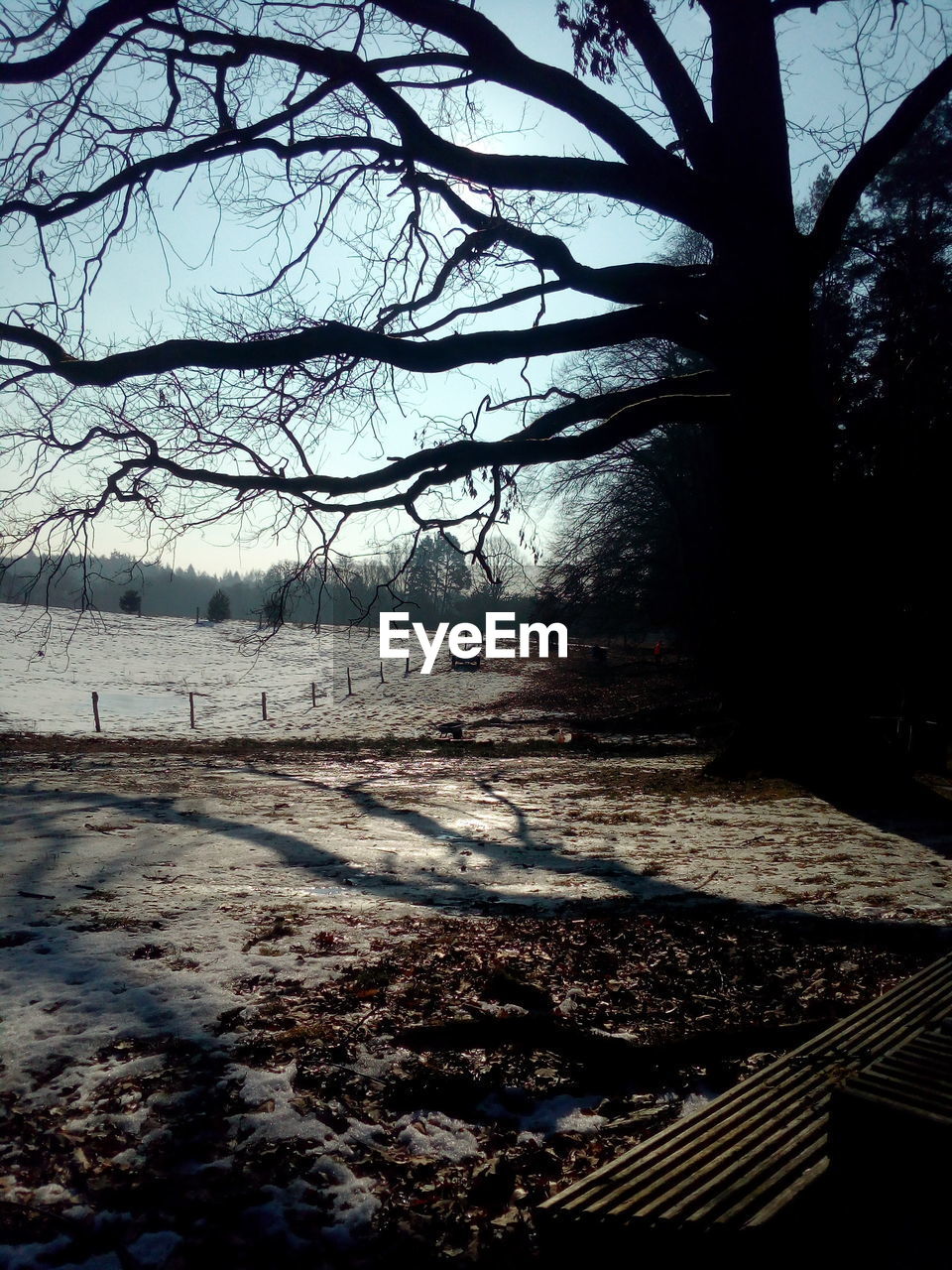 SCENIC VIEW OF SNOW COVERED LAND AGAINST SKY