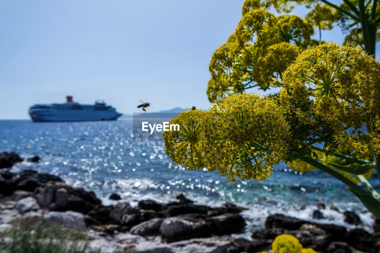 Scenic view of sea against clear sky