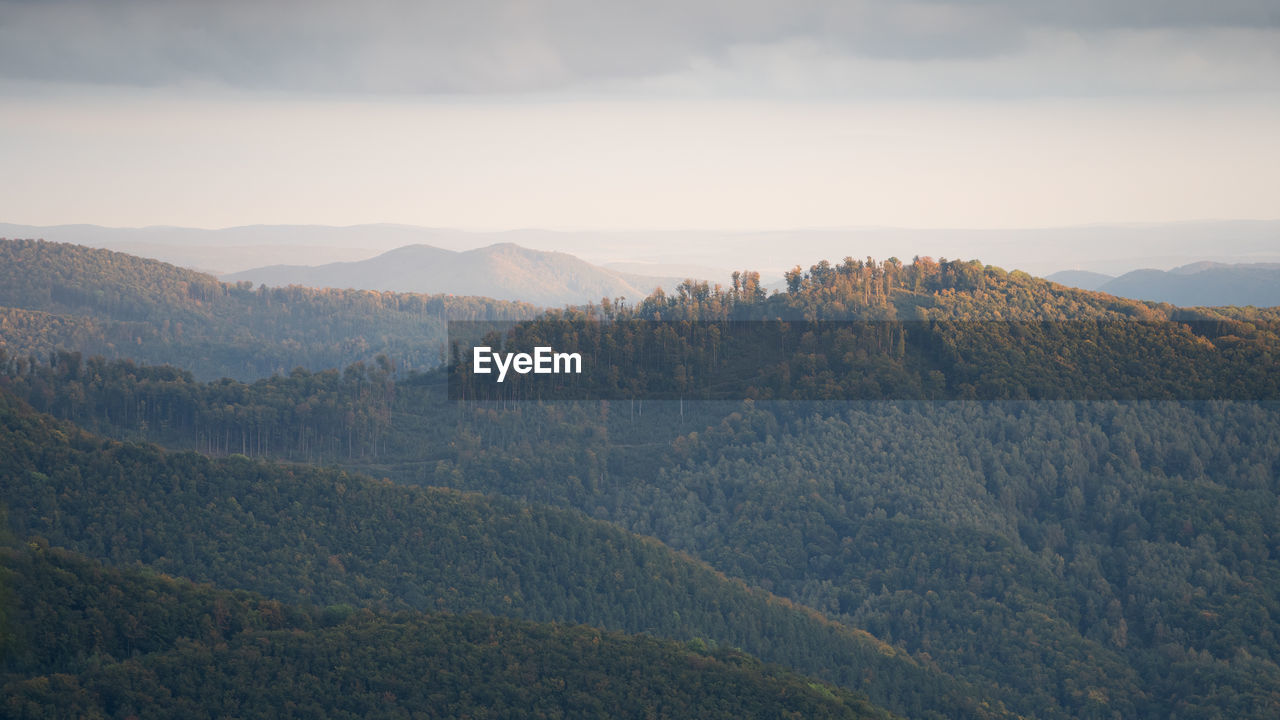 Vast woodland stretching to the horizon and hills catching last sun rays during autumn day