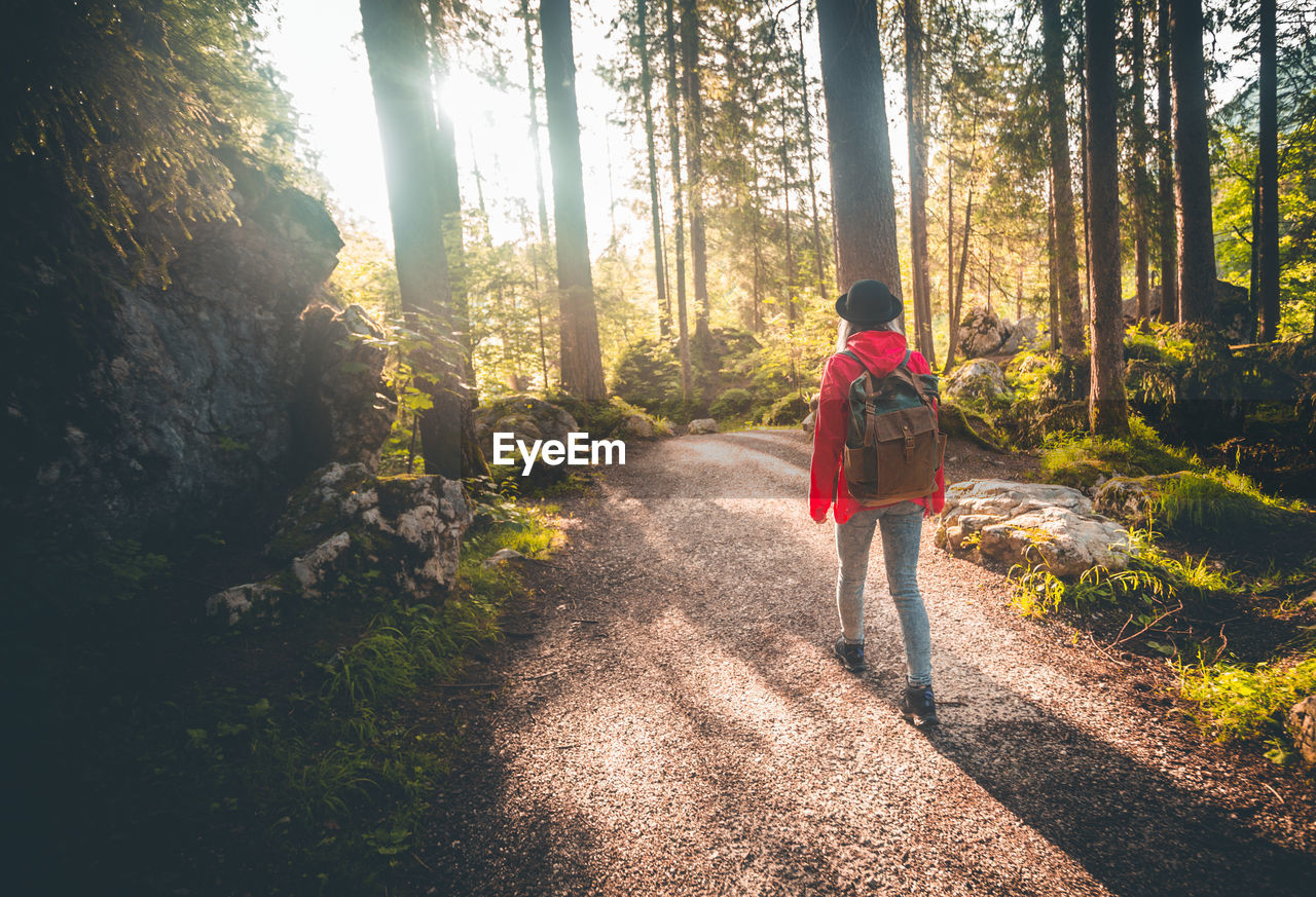 Rear view of woman walking in forest
