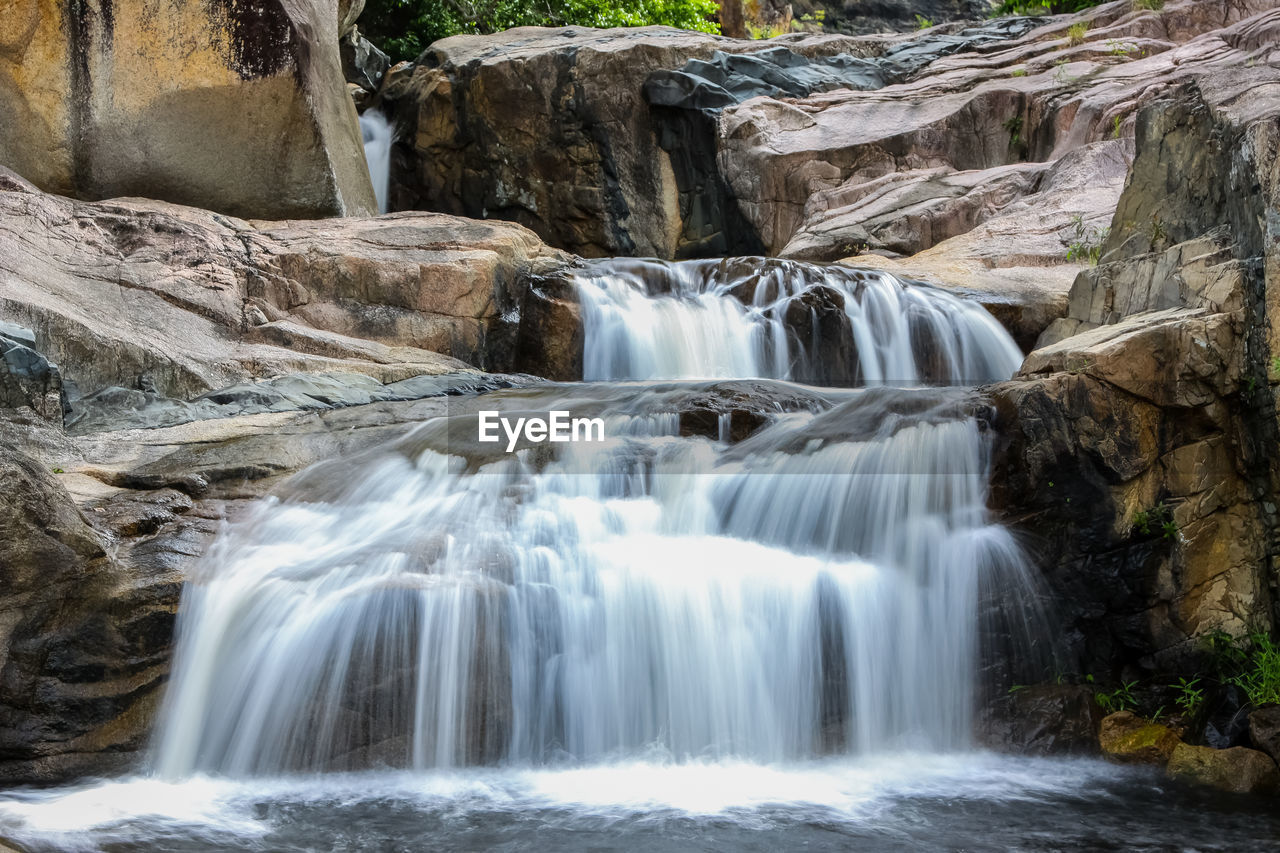 Scenic view of jourama falls in forest