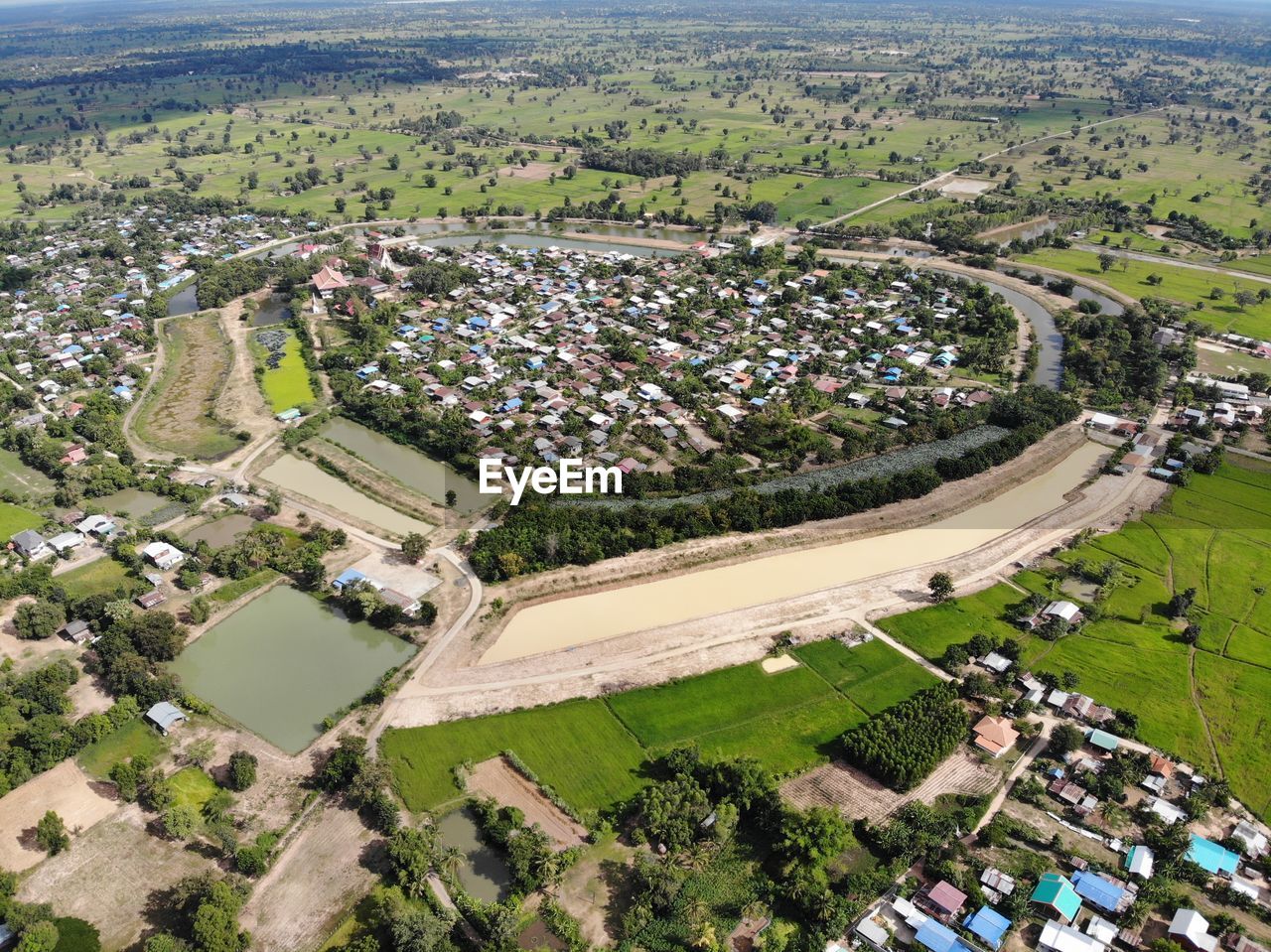 High angle view of trees and houses in city