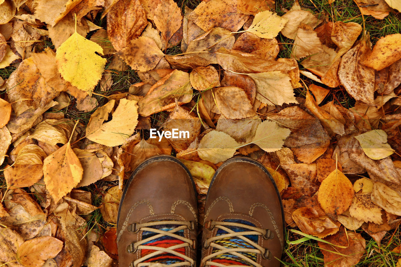 Low section of person standing on dry leaves