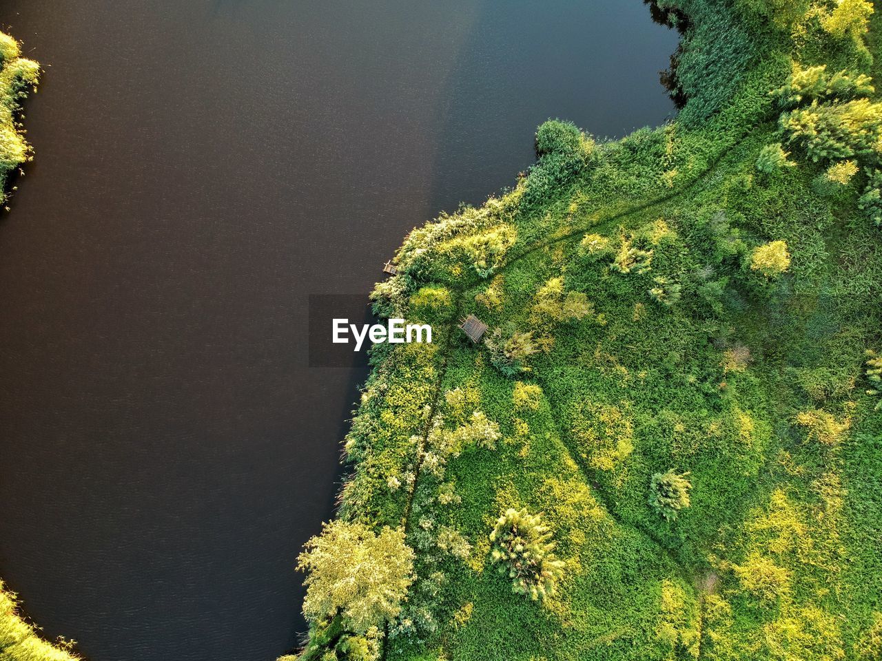 HIGH ANGLE VIEW OF PLANTS AGAINST THE SKY