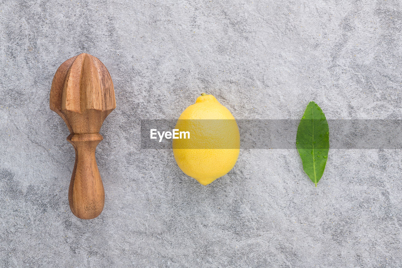 Directly above shot of juicer with lemon and leaf on table