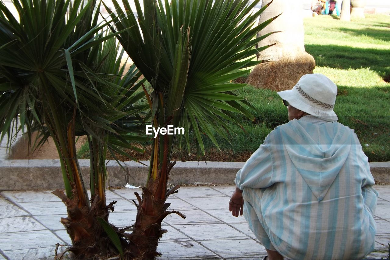 REAR VIEW OF WOMAN WITH PALM TREES