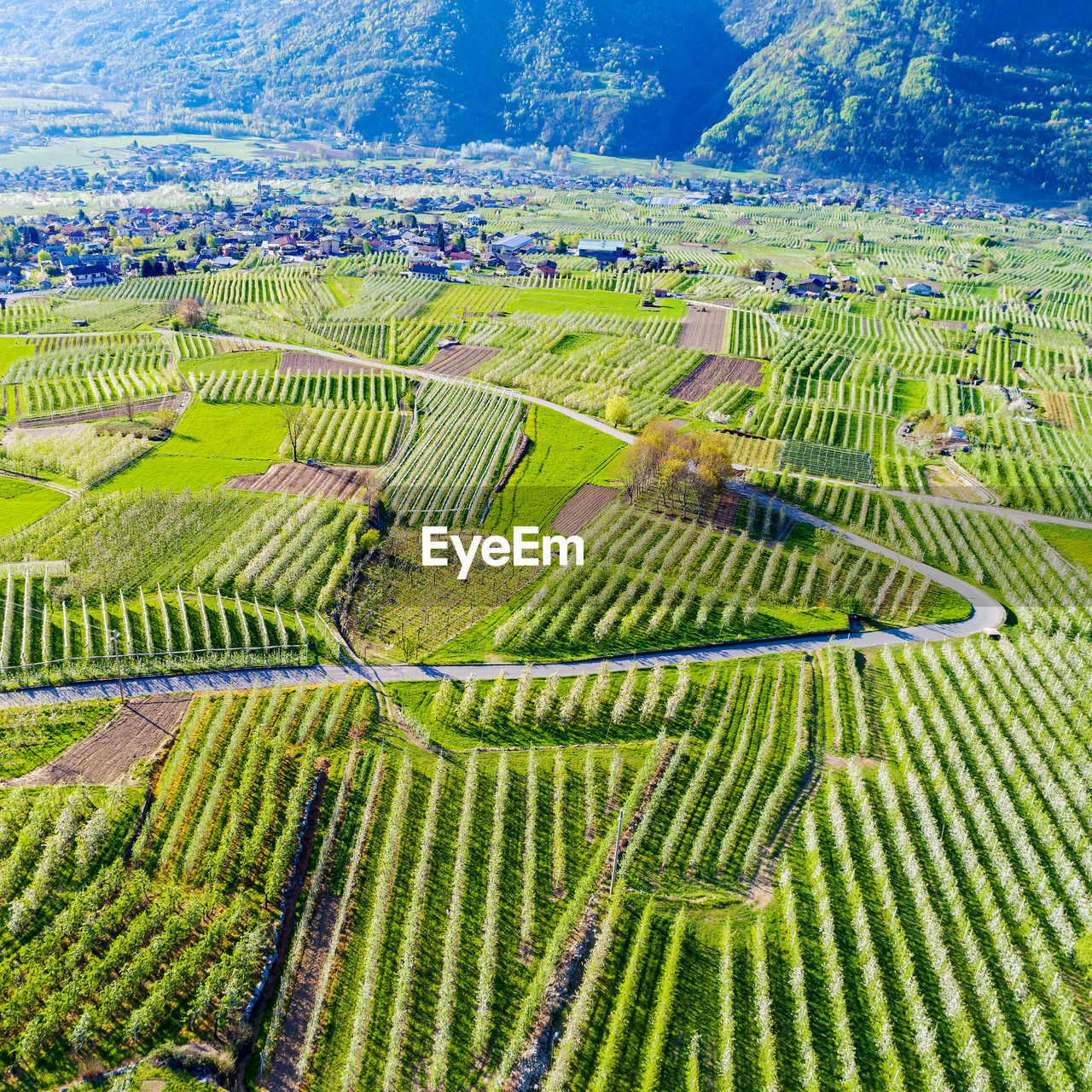 SCENIC VIEW OF FARMS