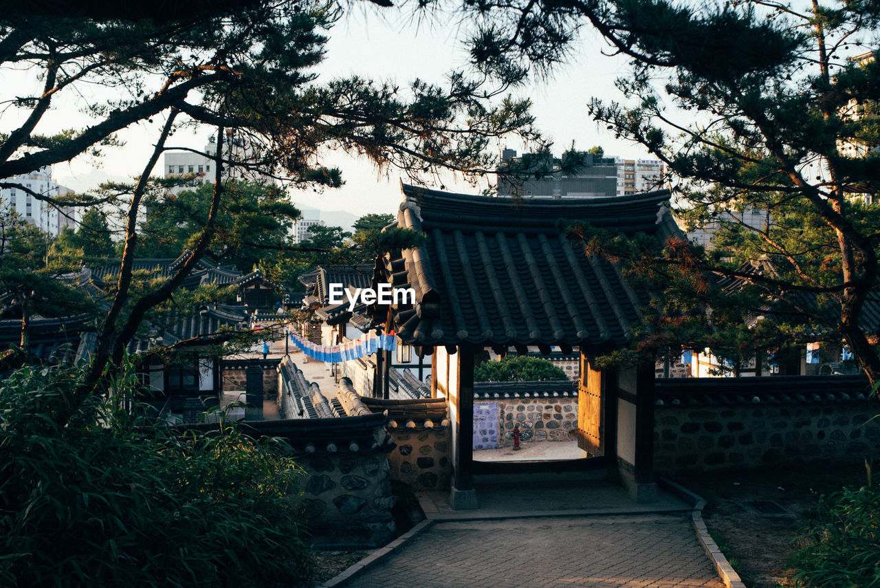 Entrance on pathway amidst trees at namsangol hanok village