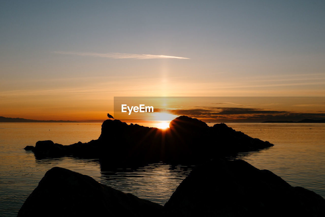 Wide angle view of a sea gull on a rocky beach at sunset