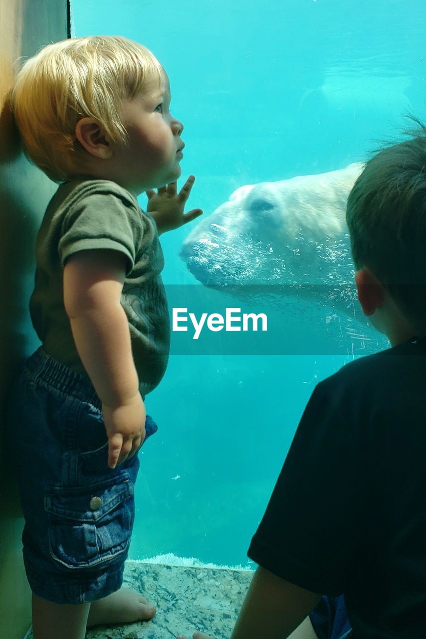 FULL LENGTH OF BOY ENJOYING IN AQUARIUM