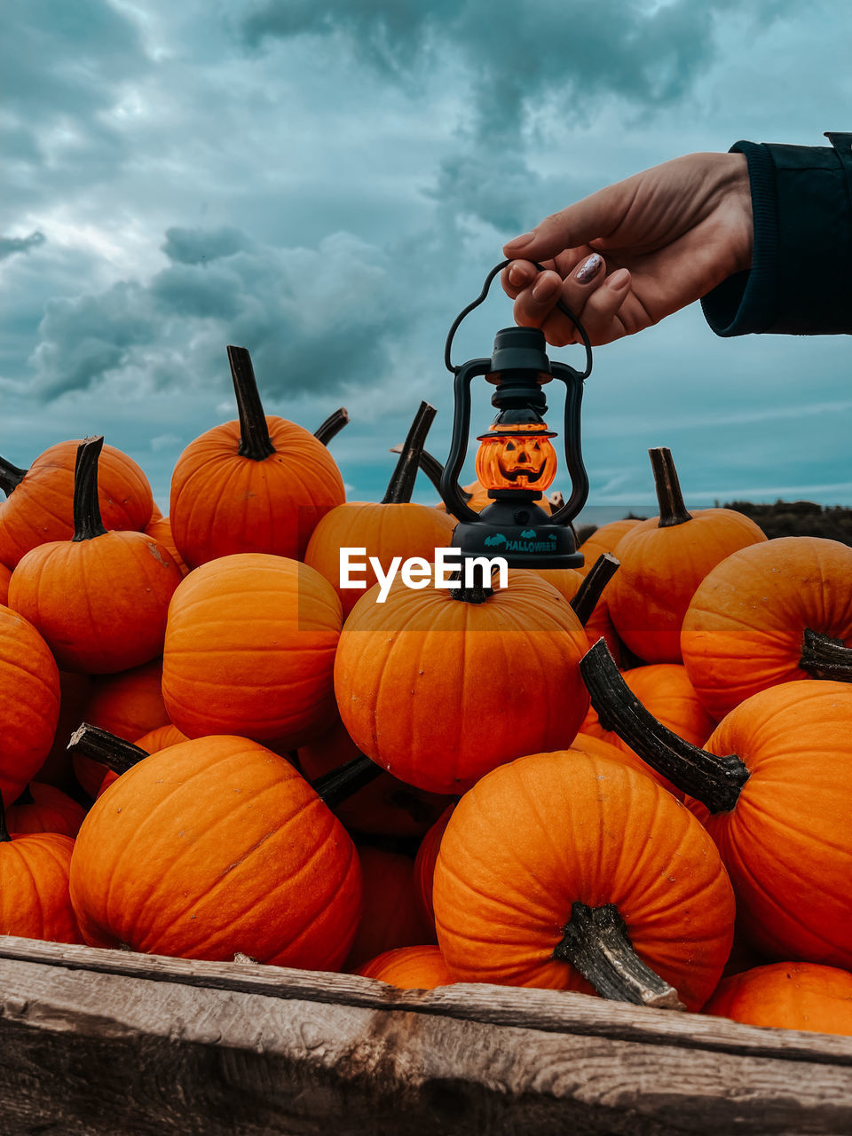 Cropped hand of person holding lantern by pumpkin