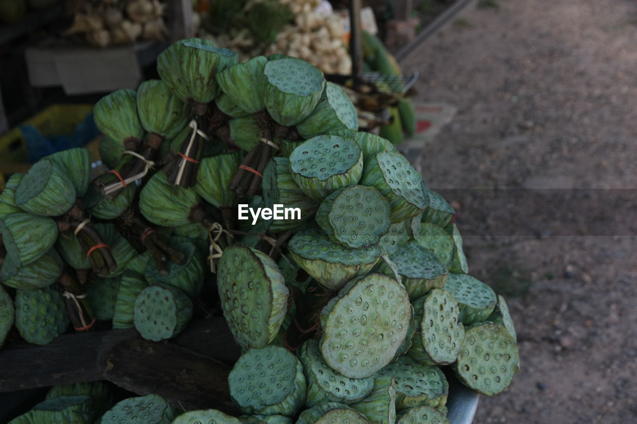 HIGH ANGLE VIEW OF FRESH VEGETABLES