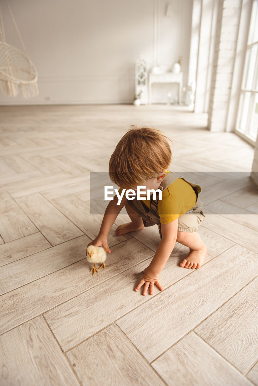 Boy playing with ducks for easter