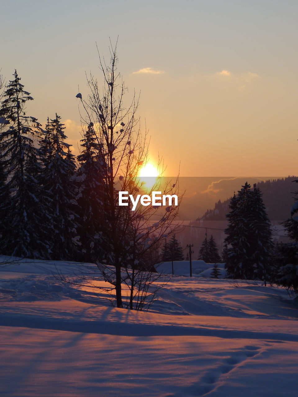 Bare trees on snow landscape against sky during sunset