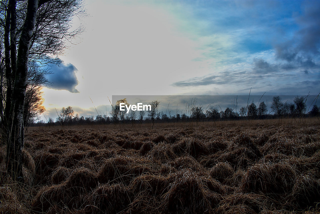 FIELD AGAINST SKY DURING SUNSET