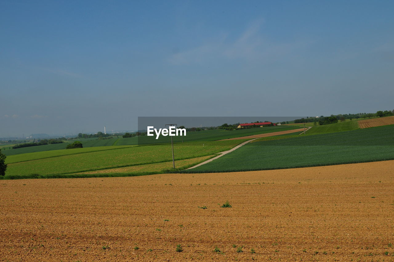 FIELD AGAINST SKY