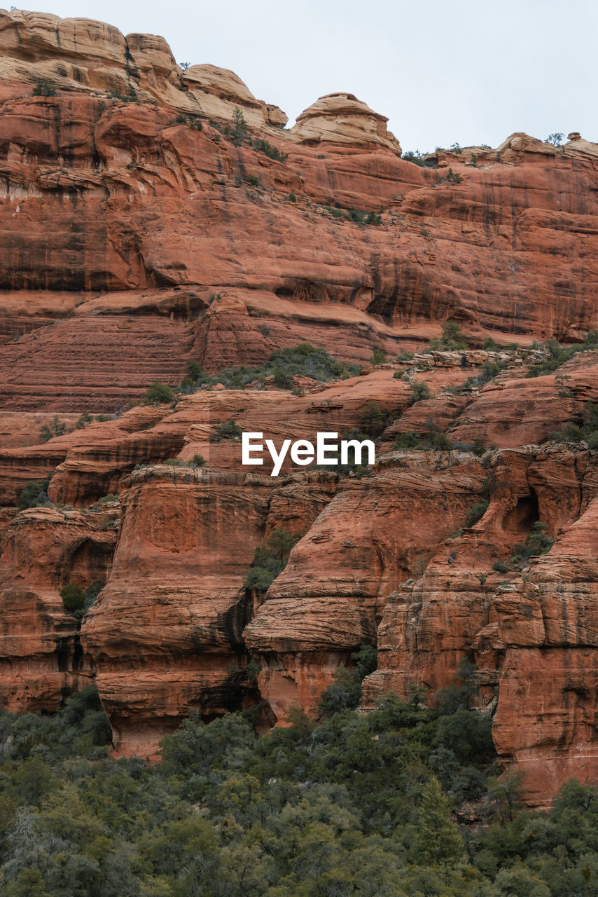 View looking up boynton canyon from subway cave in sedona arizona.