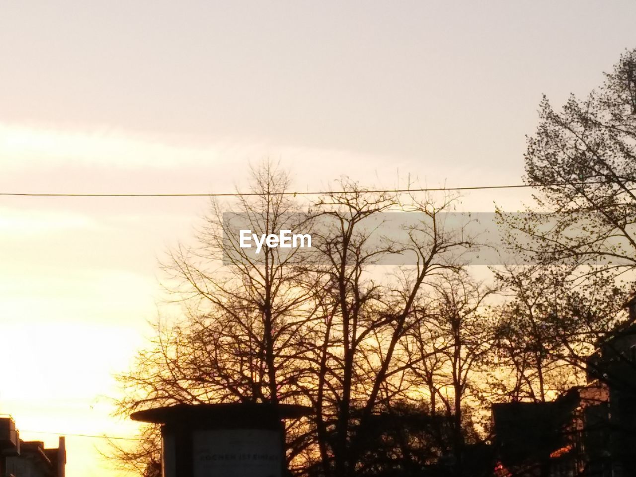 LOW ANGLE VIEW OF BARE TREES AGAINST THE SKY