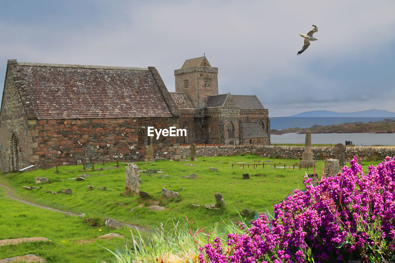 Iona abbey scotland united kingdom