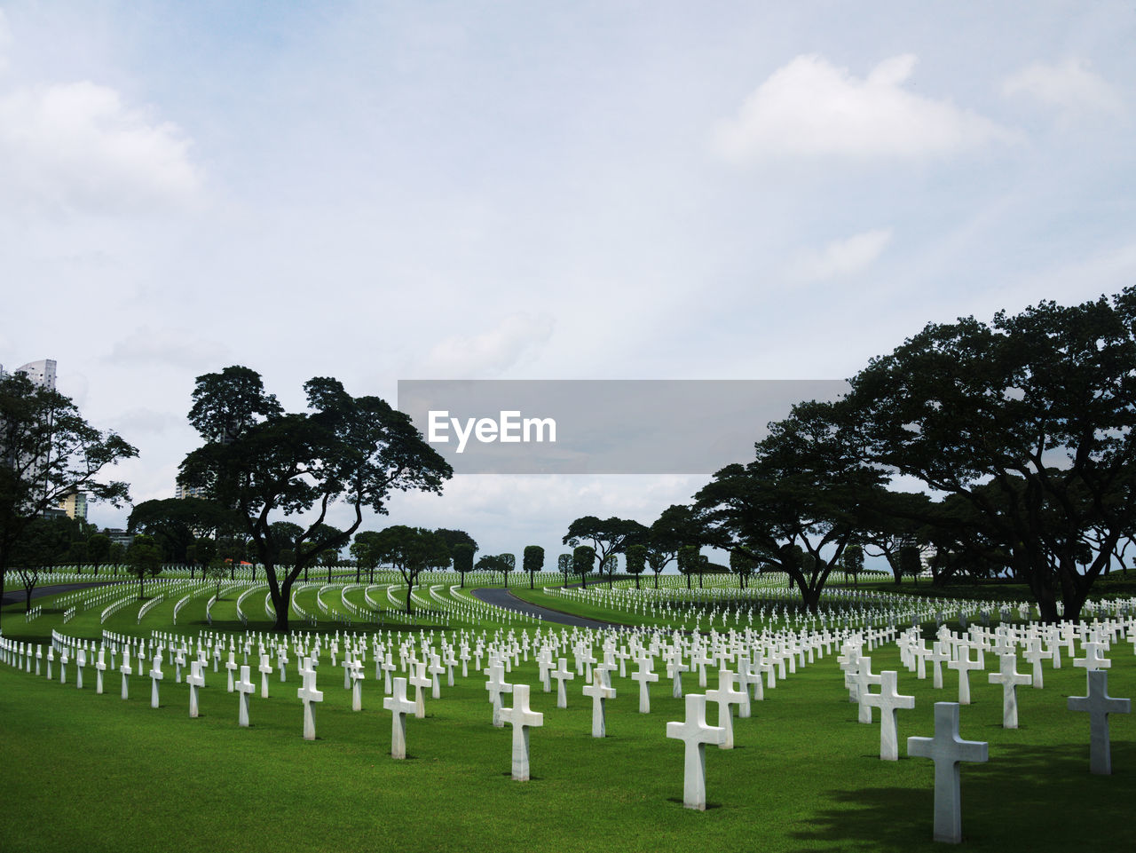 ROW OF CEMETERY