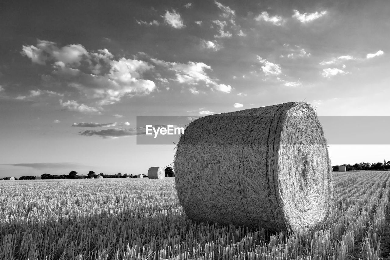 Hay bales in cotswolds monochrome 
