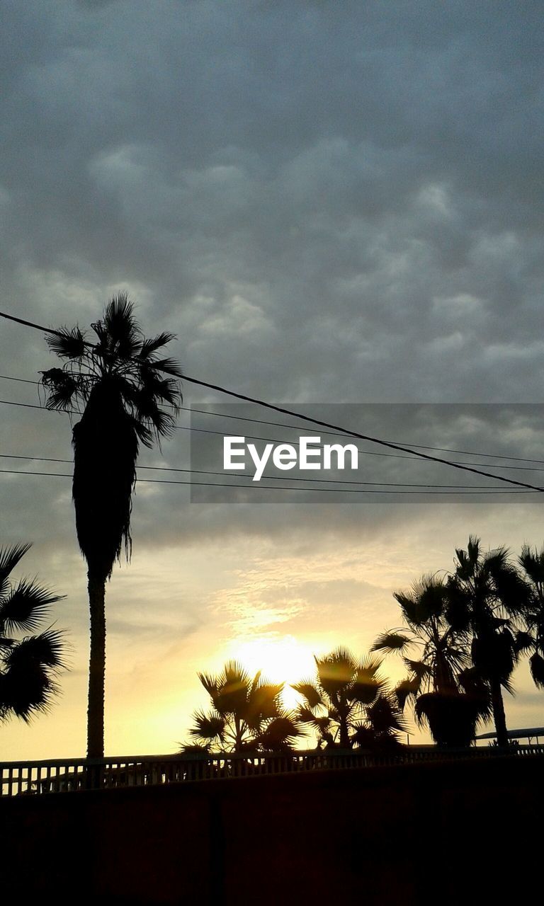 Silhouette palm trees against cloudy sky during sunset