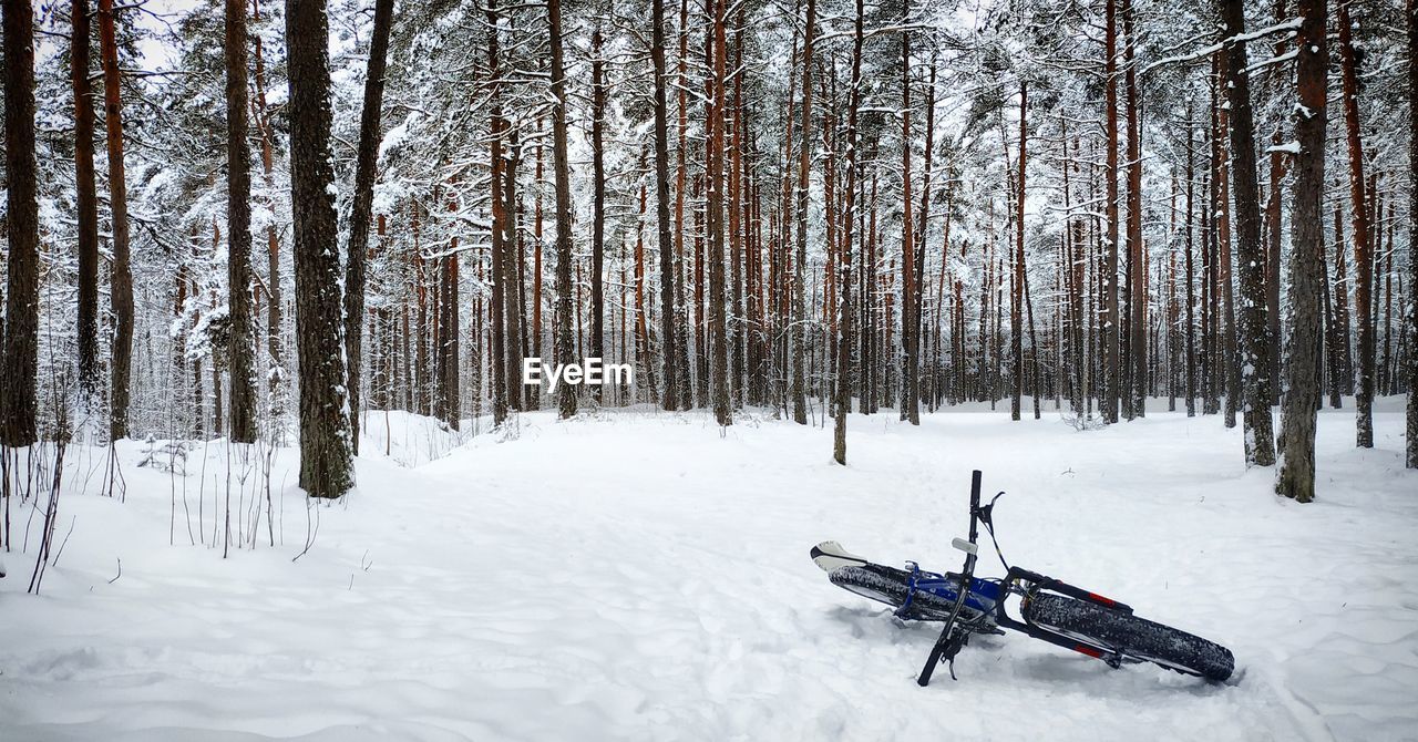 Fatbike laying on snow in woods