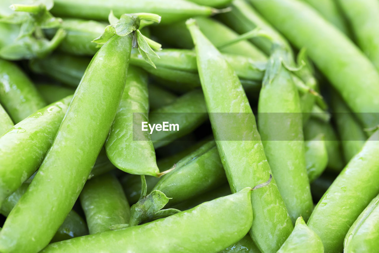 full frame shot of vegetable