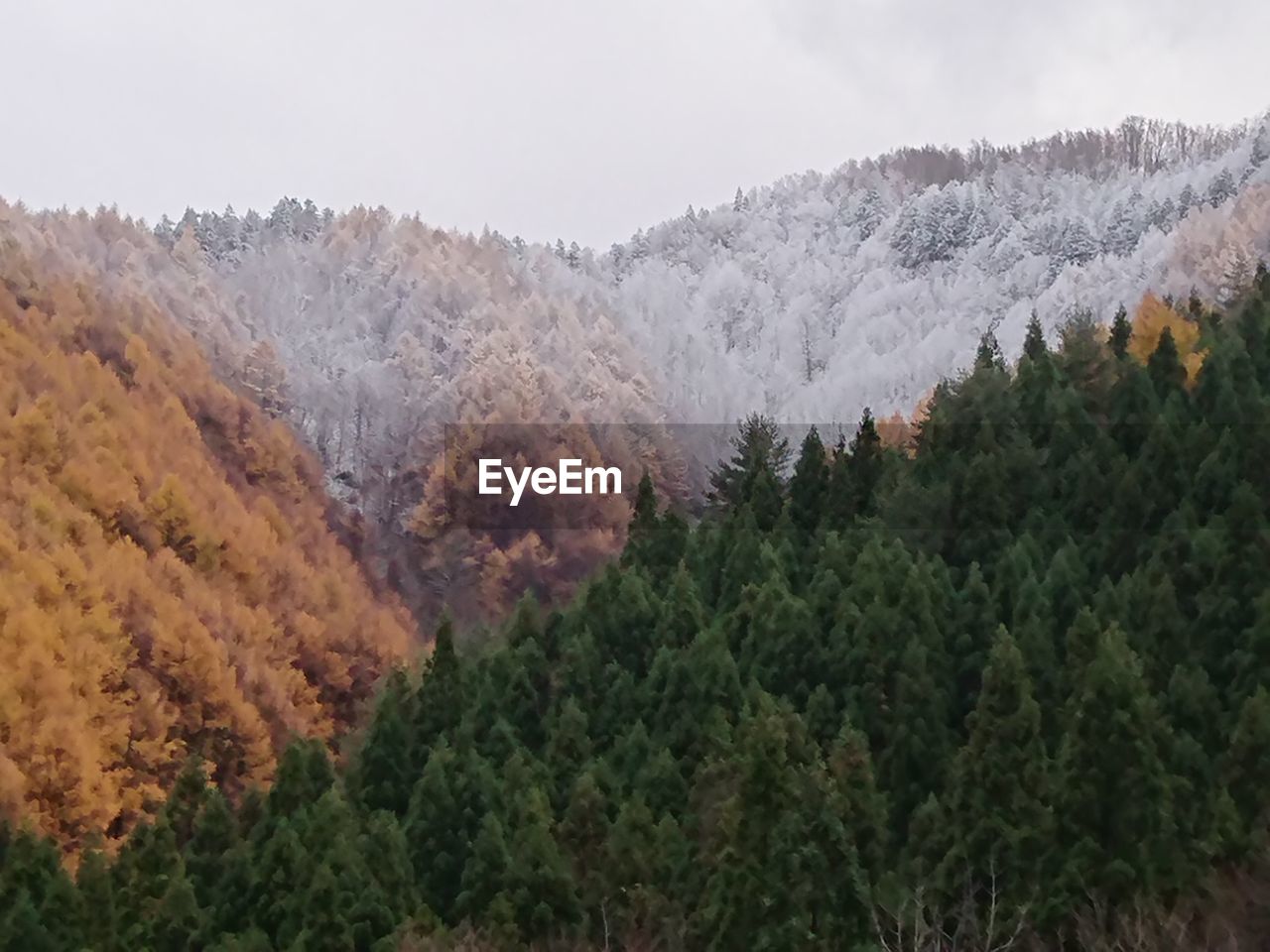 SCENIC VIEW OF SNOW COVERED MOUNTAINS