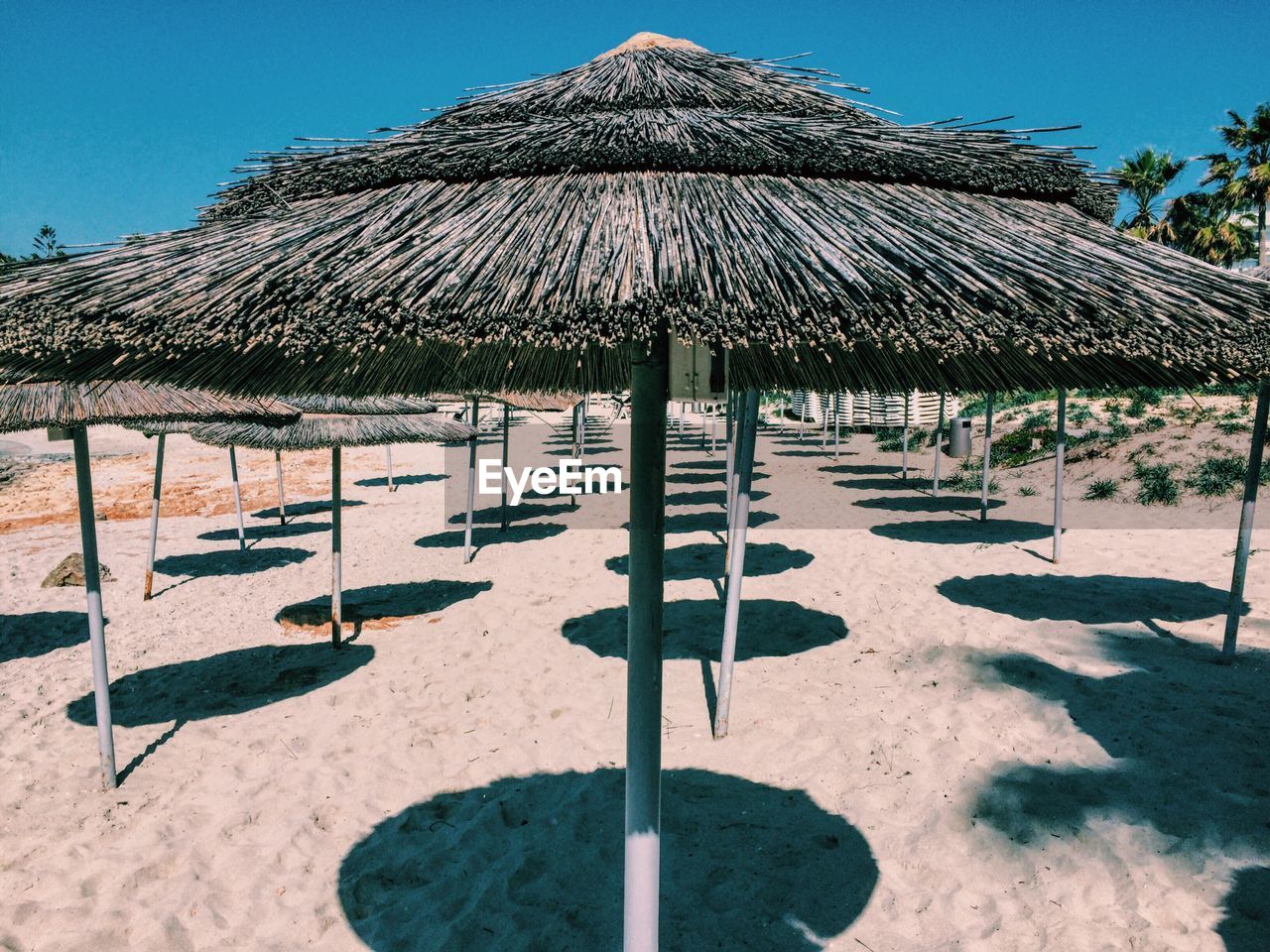 Thatched roof parasols at beach against clear sky