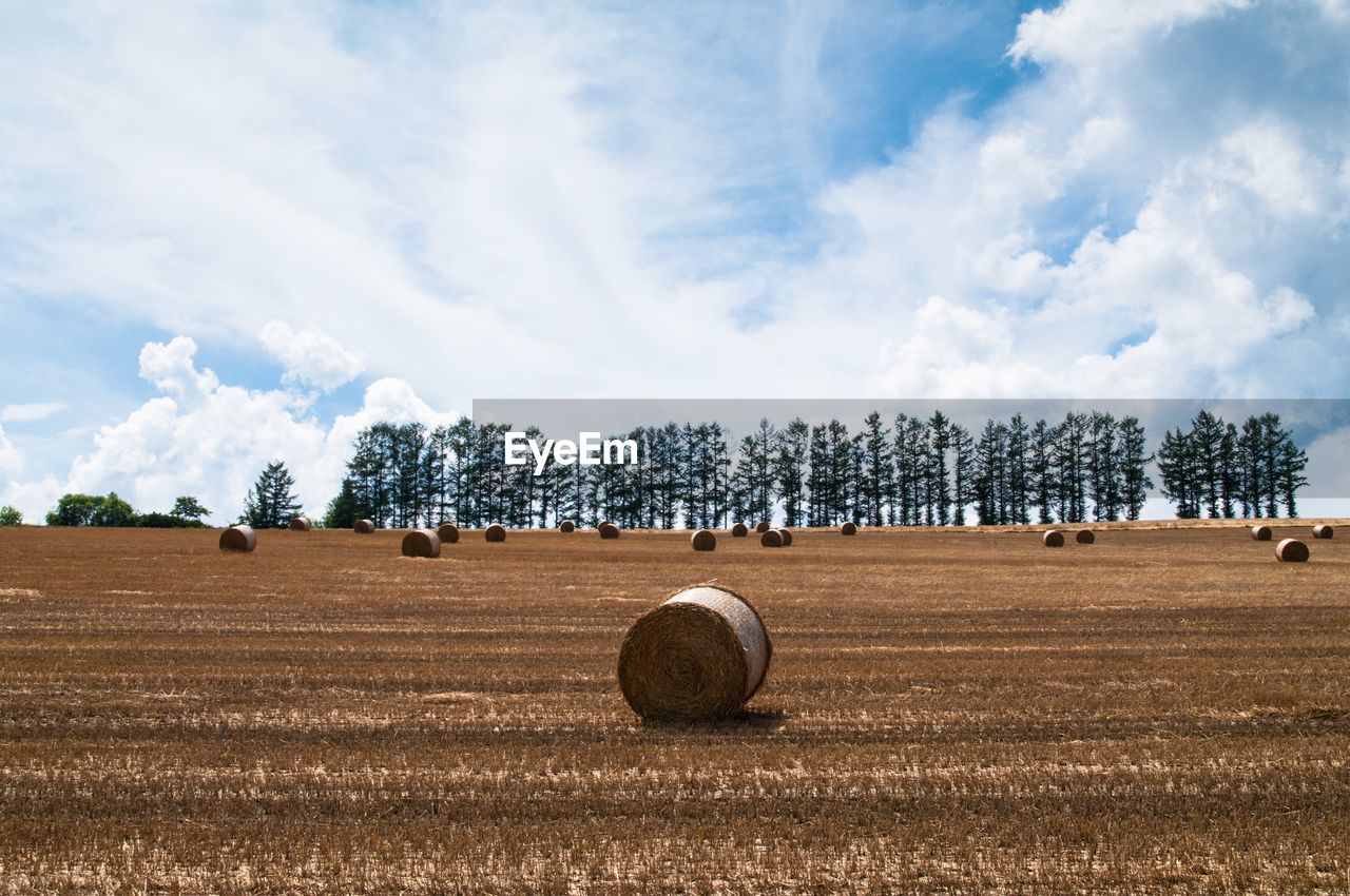 Hay bales on field against sky