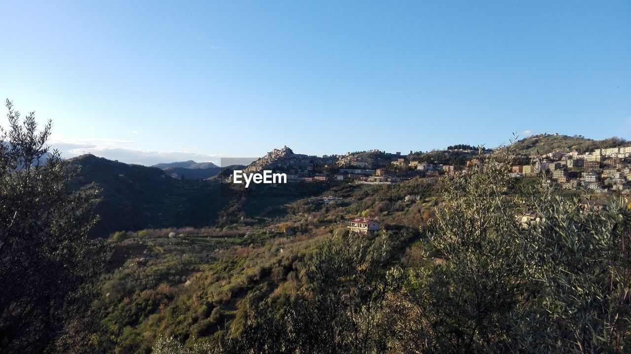 SCENIC VIEW OF TREES AND MOUNTAINS AGAINST CLEAR BLUE SKY