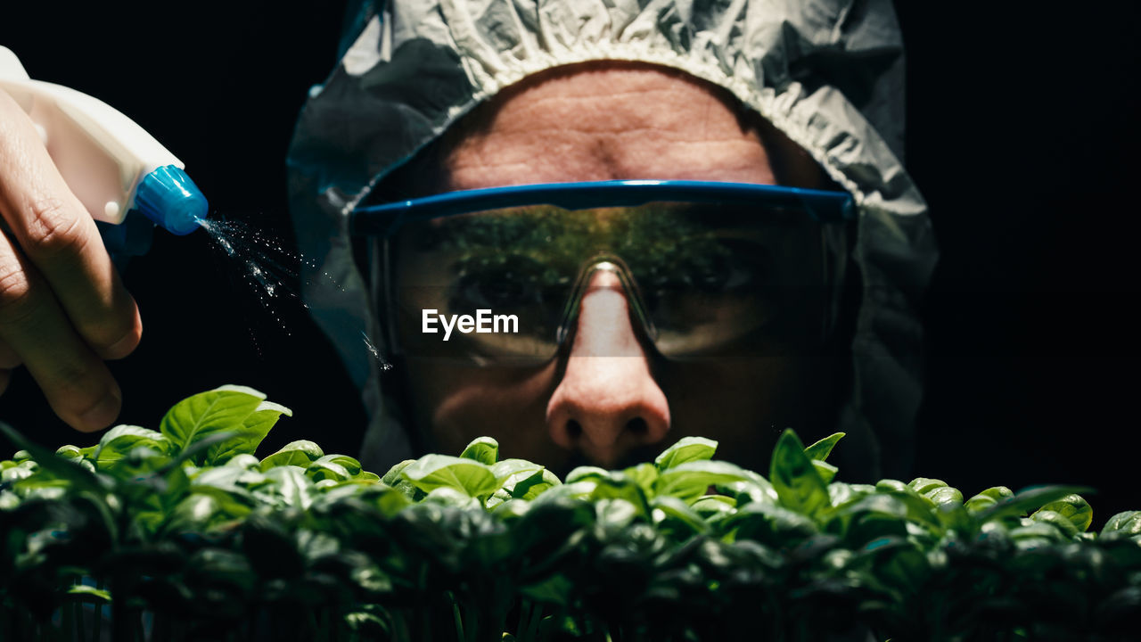 Scientist irrigate green seedling in laboratory