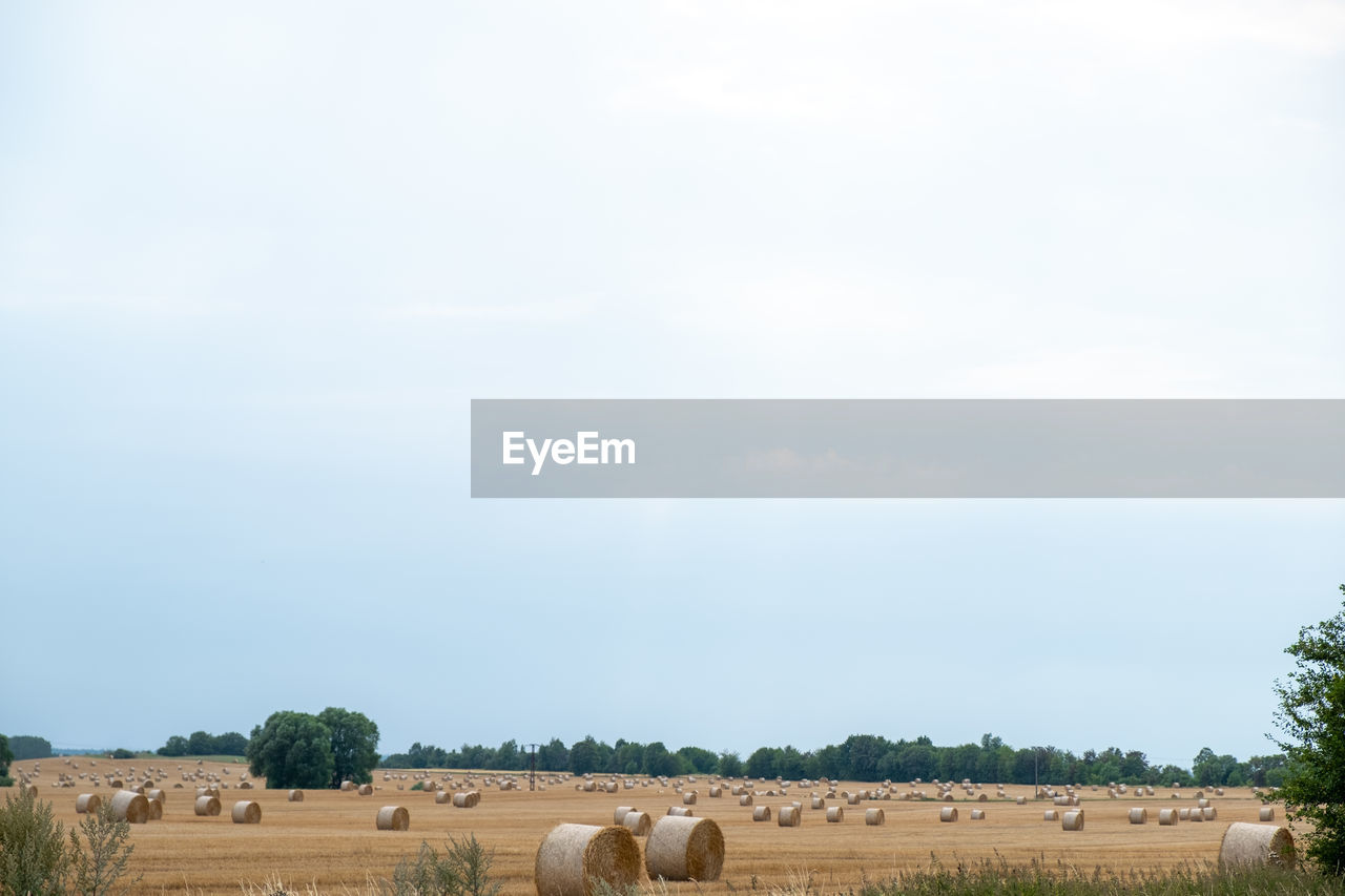 Hay bales on field against sky